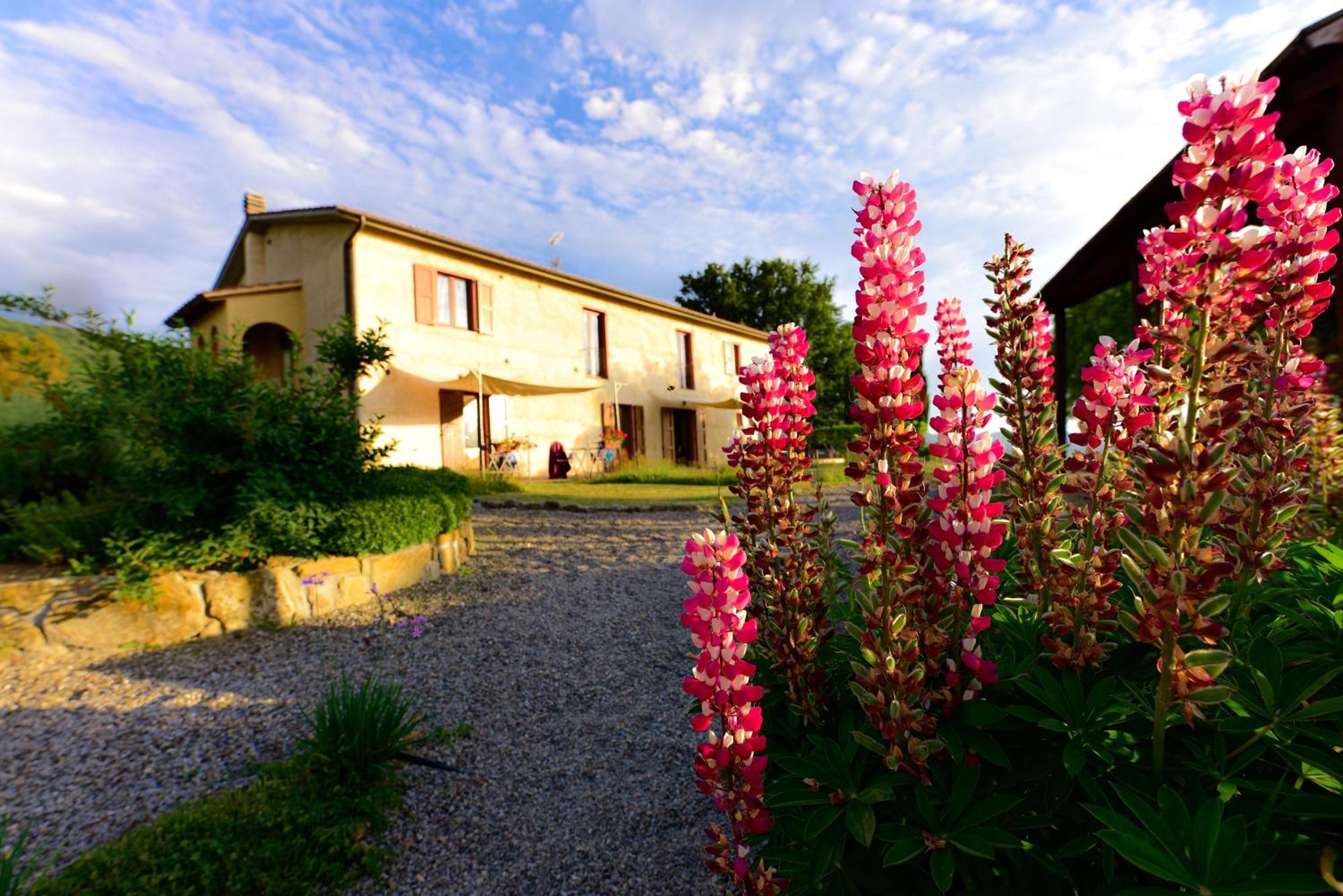 Agriturismo Le Casaline Seggiano المظهر الخارجي الصورة