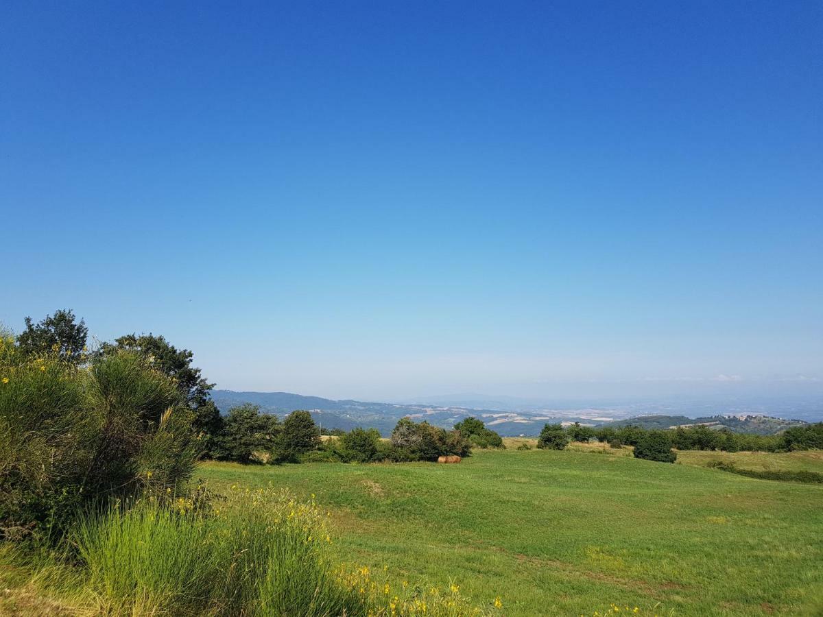 Agriturismo Le Casaline Seggiano المظهر الخارجي الصورة